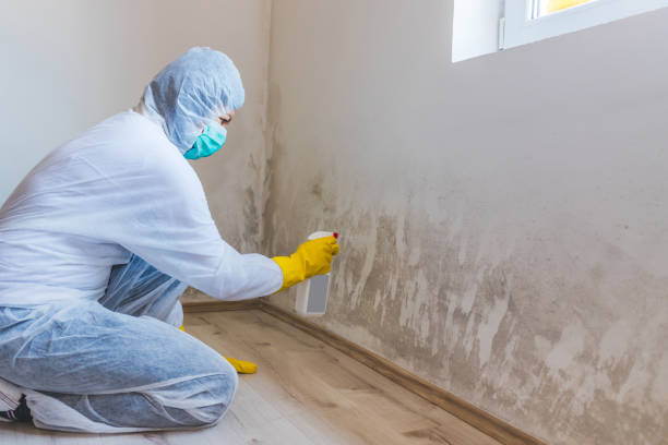 Hvac And Air Duct Mold Remediation inspection of HVAC system in Alum Bank